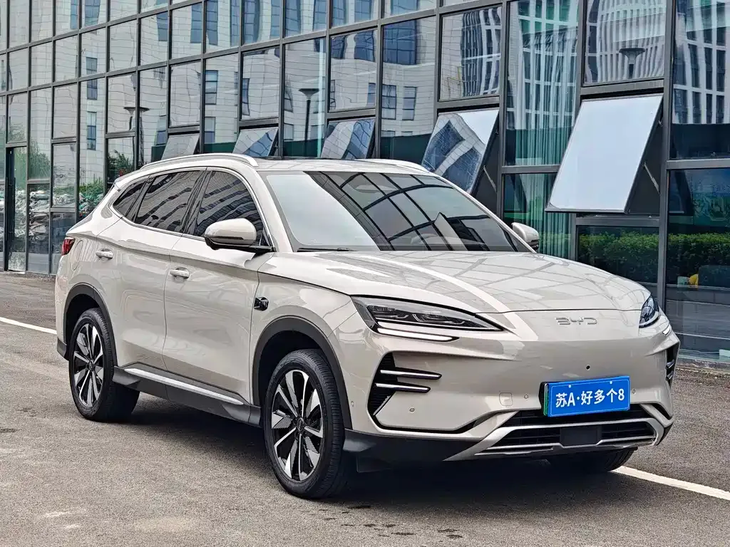 BYD PLUS New Energy — фото 5