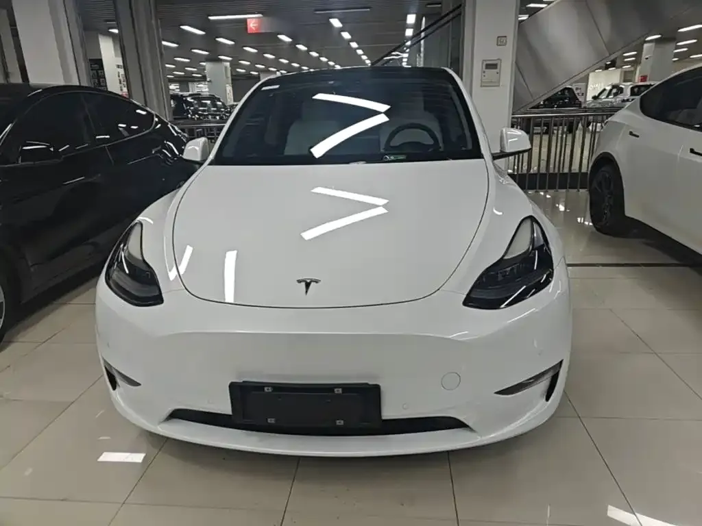 Tesla Model Y — фото 8
