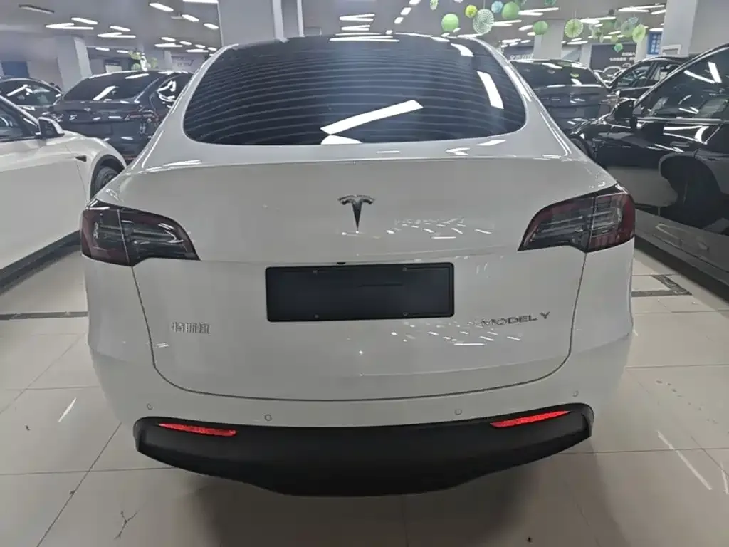 Tesla Model Y — фото 9