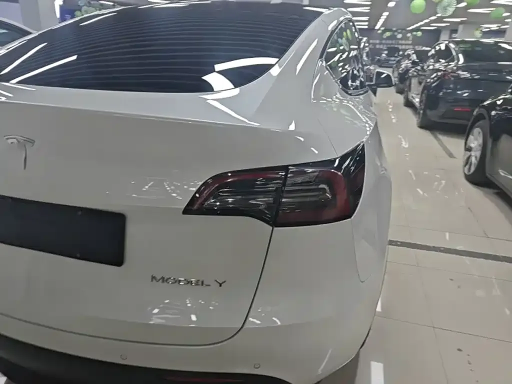 Tesla Model Y — фото 6