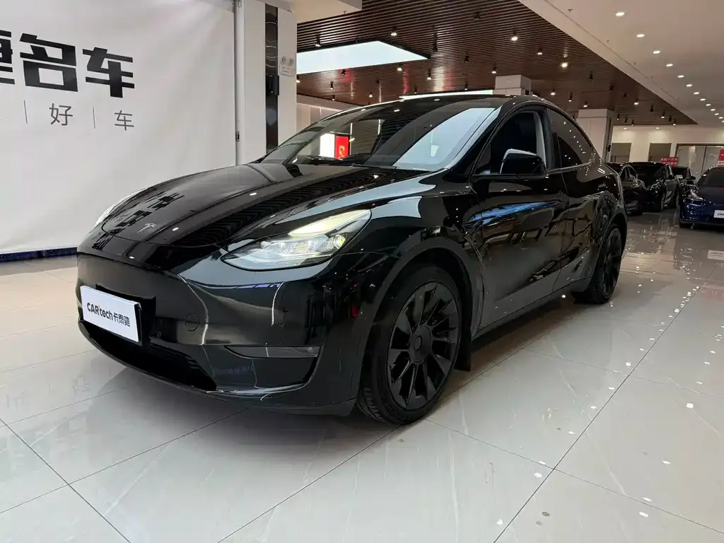 Tesla Model Y — фото 1