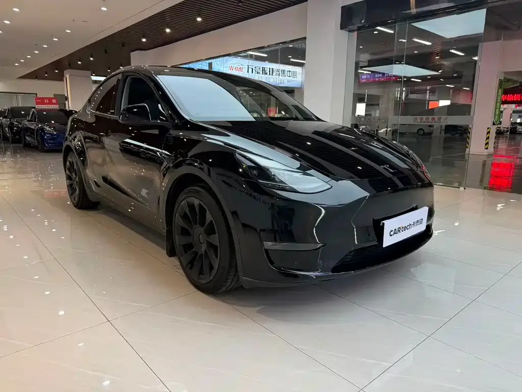 Tesla Model Y — фото 10