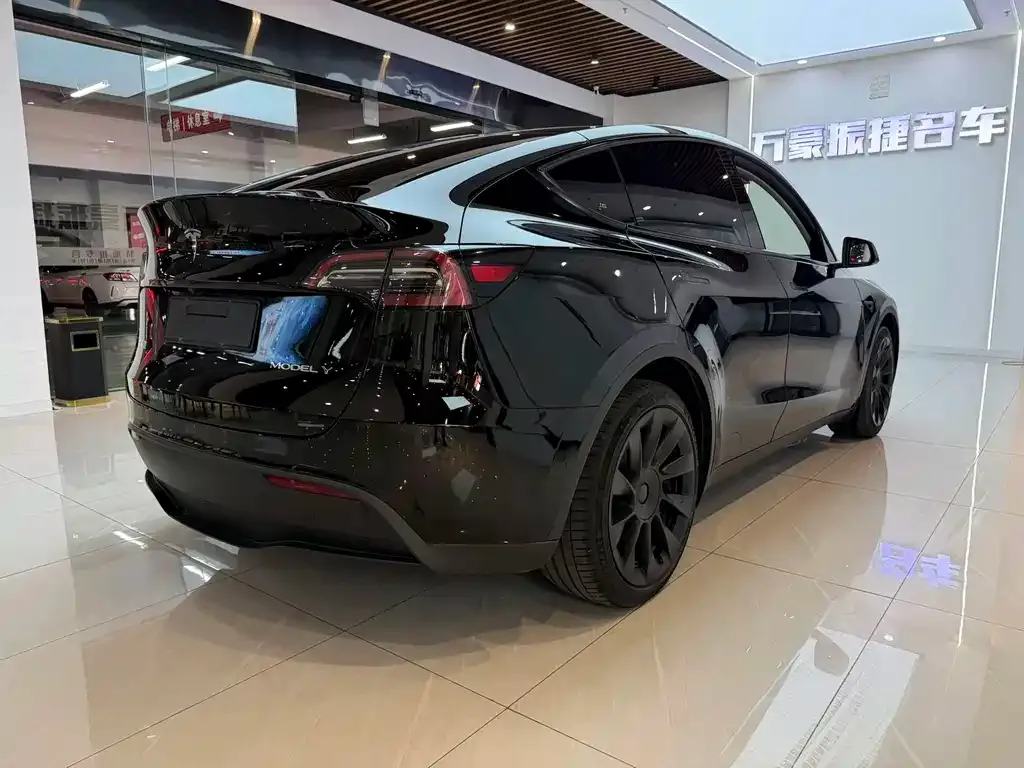 Tesla Model Y — фото 9