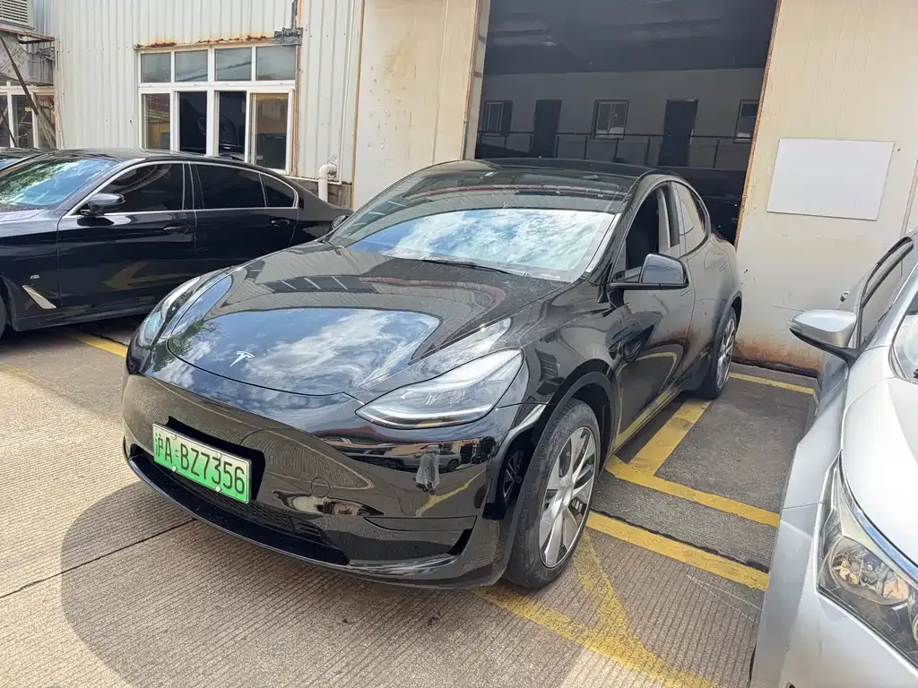 Tesla Model Y — фото 1