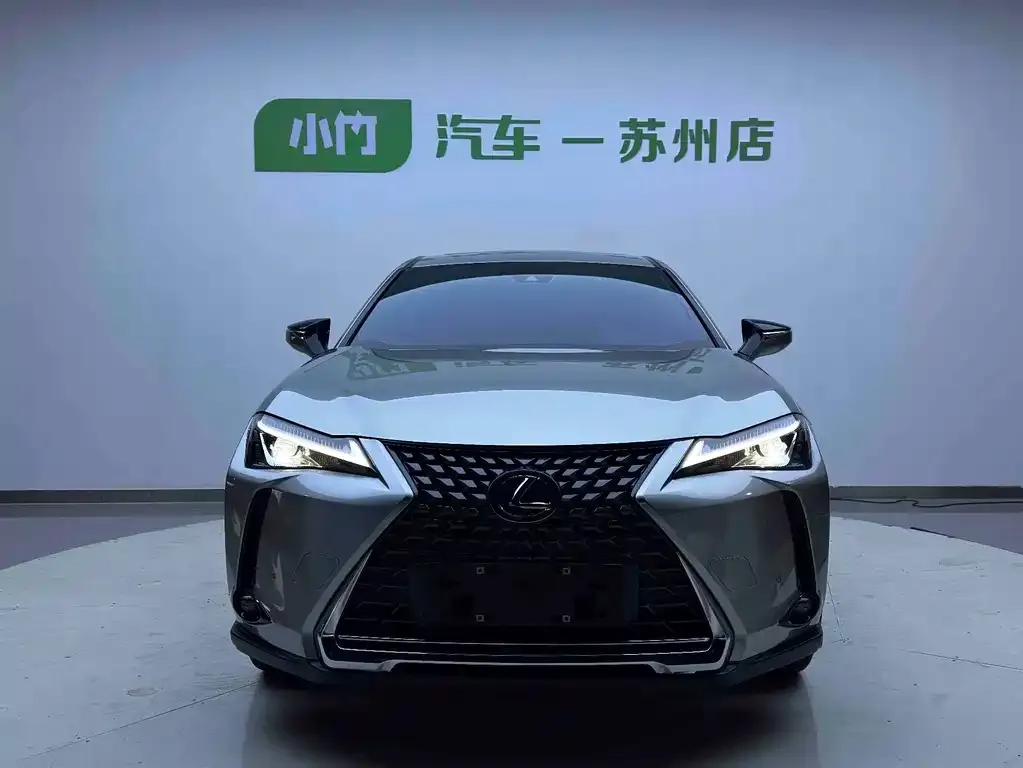 Lexus UX New Energy — фото 10