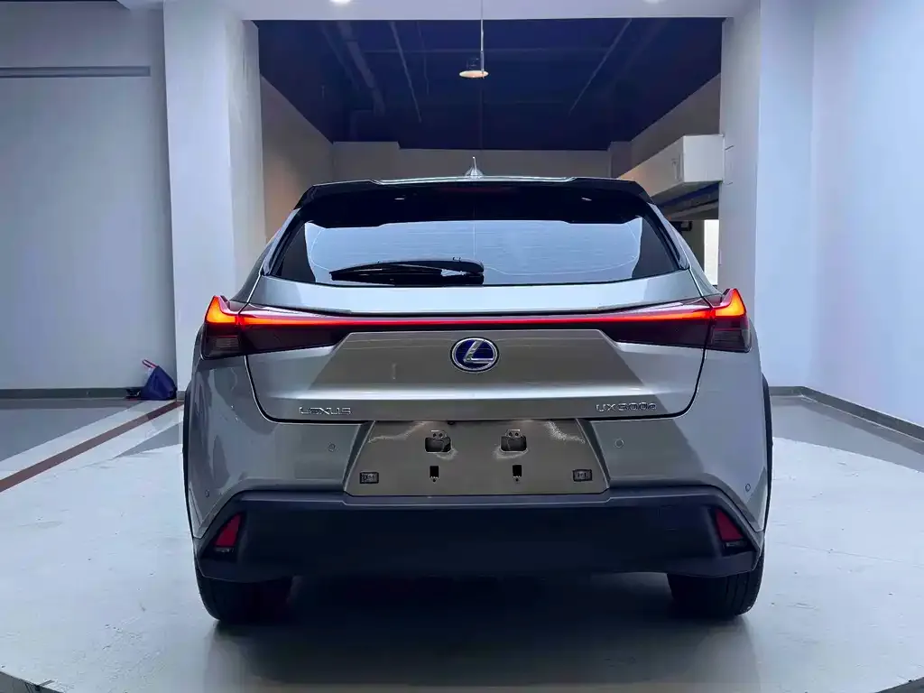 Lexus UX New Energy — фото 4