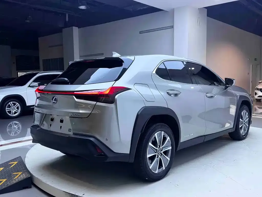 Lexus UX New Energy — фото 9