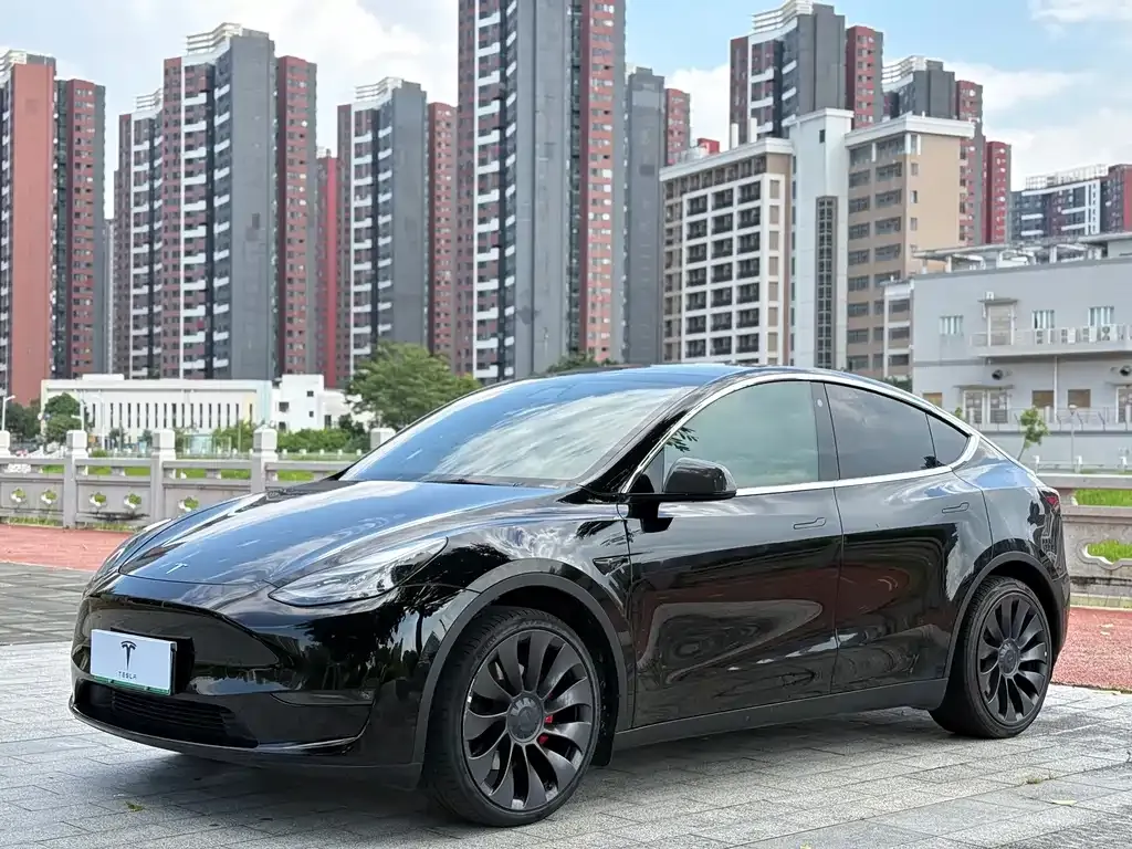 Tesla Model Y — фото 1
