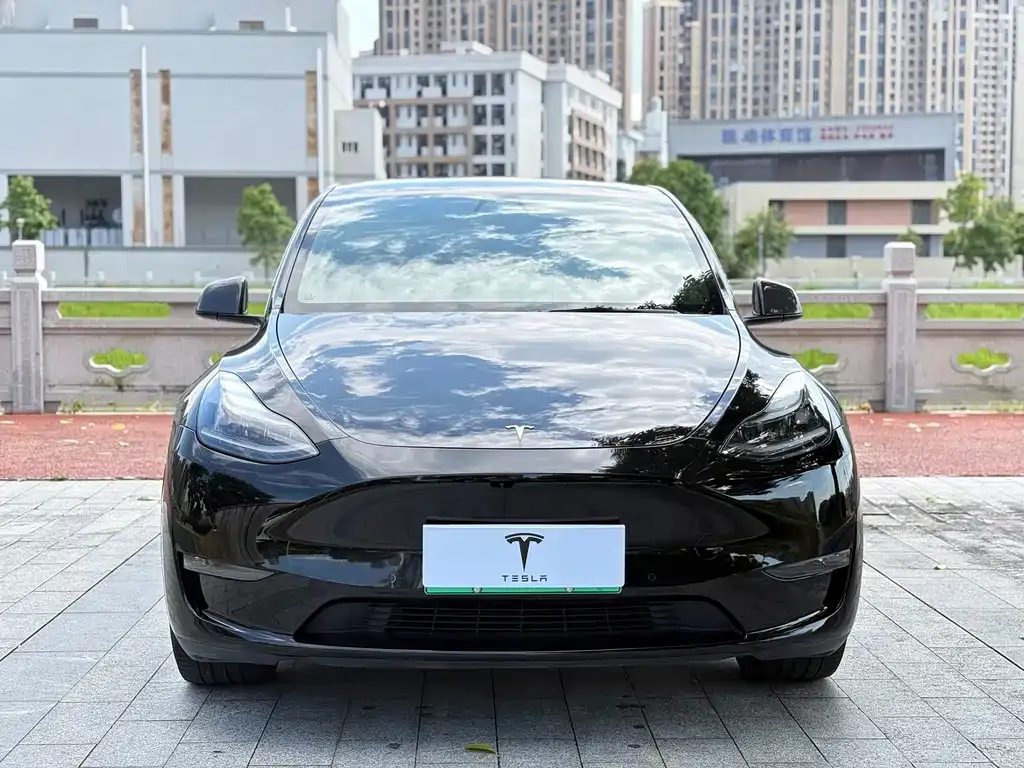 Tesla Model Y — фото 2
