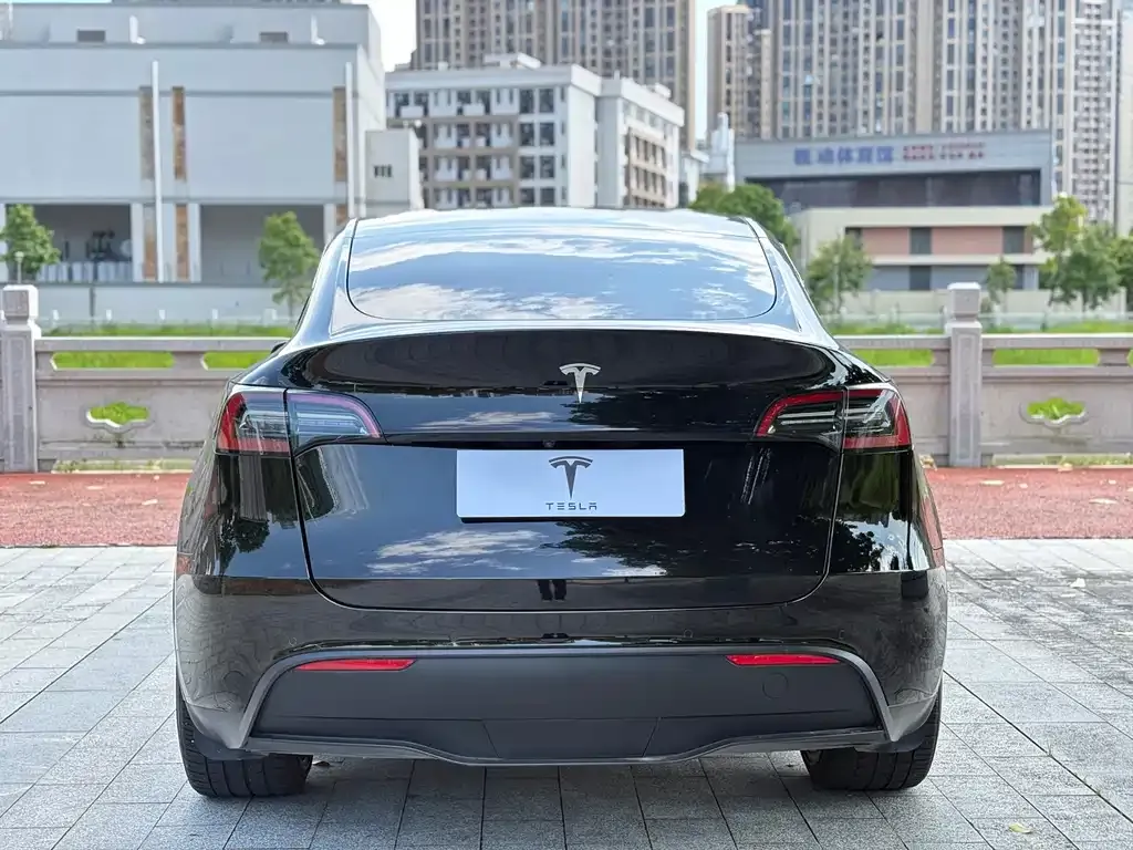 Tesla Model Y — фото 10