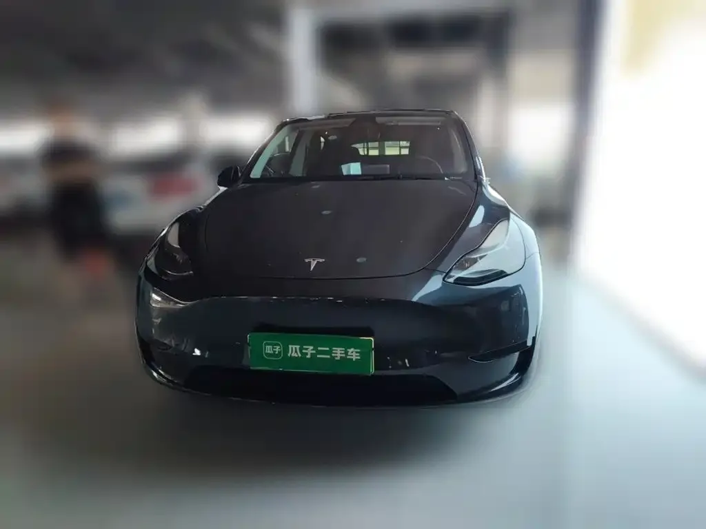 Tesla Model Y — фото 10
