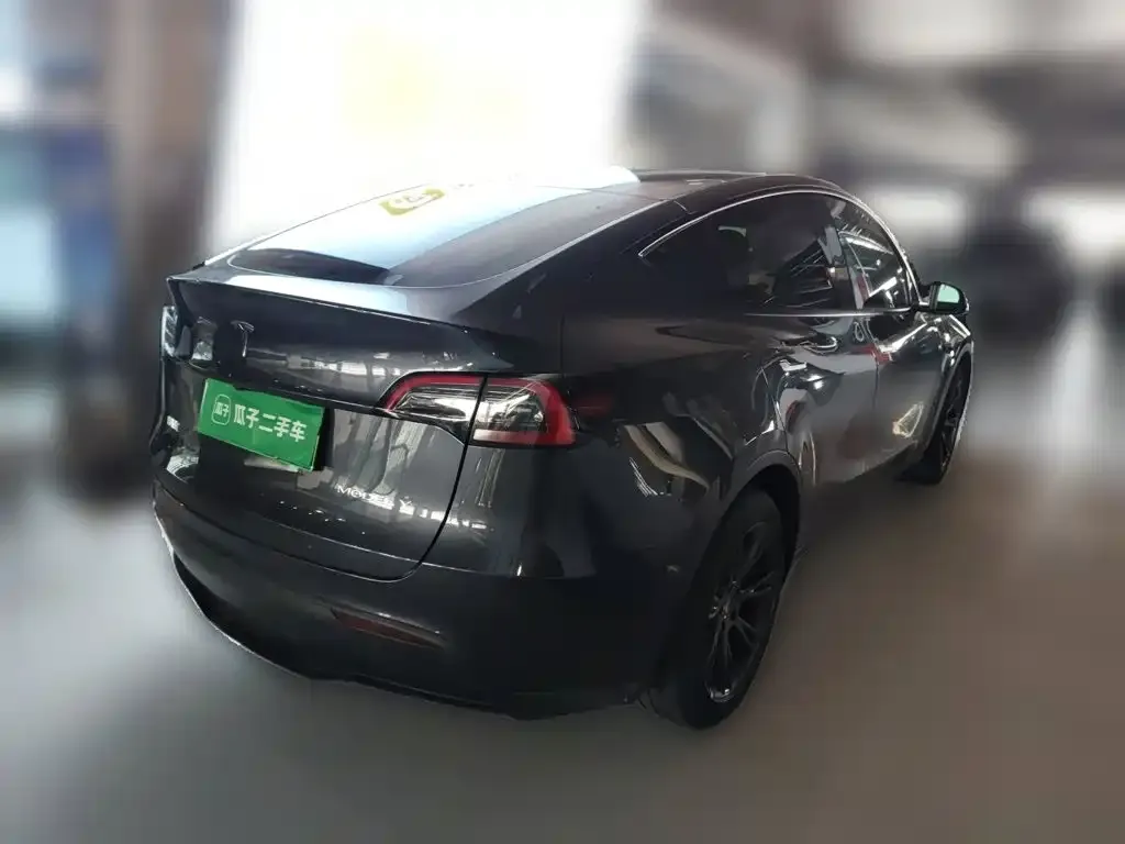 Tesla Model Y — фото 2