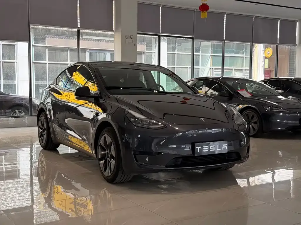 Tesla Model Y — фото 7