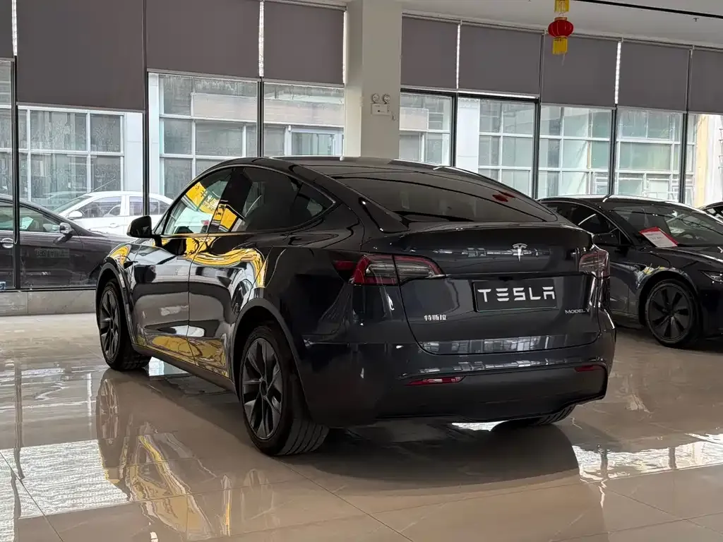 Tesla Model Y — фото 9