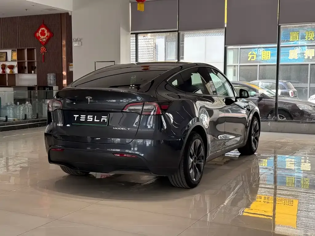 Tesla Model Y — фото 8