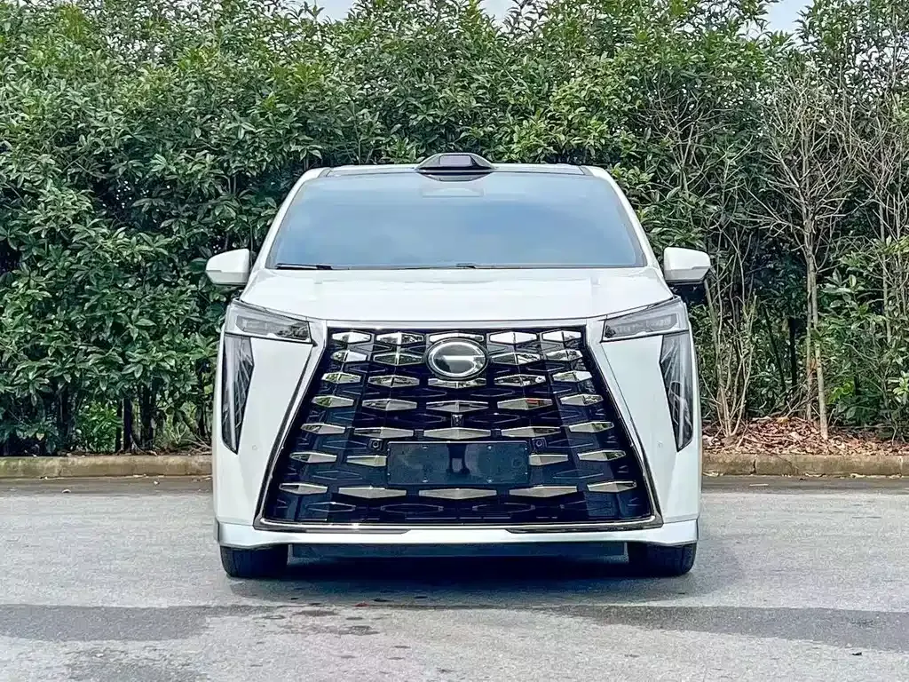 GAC Motor Trumpchi Xiangwang M8 — фото 7