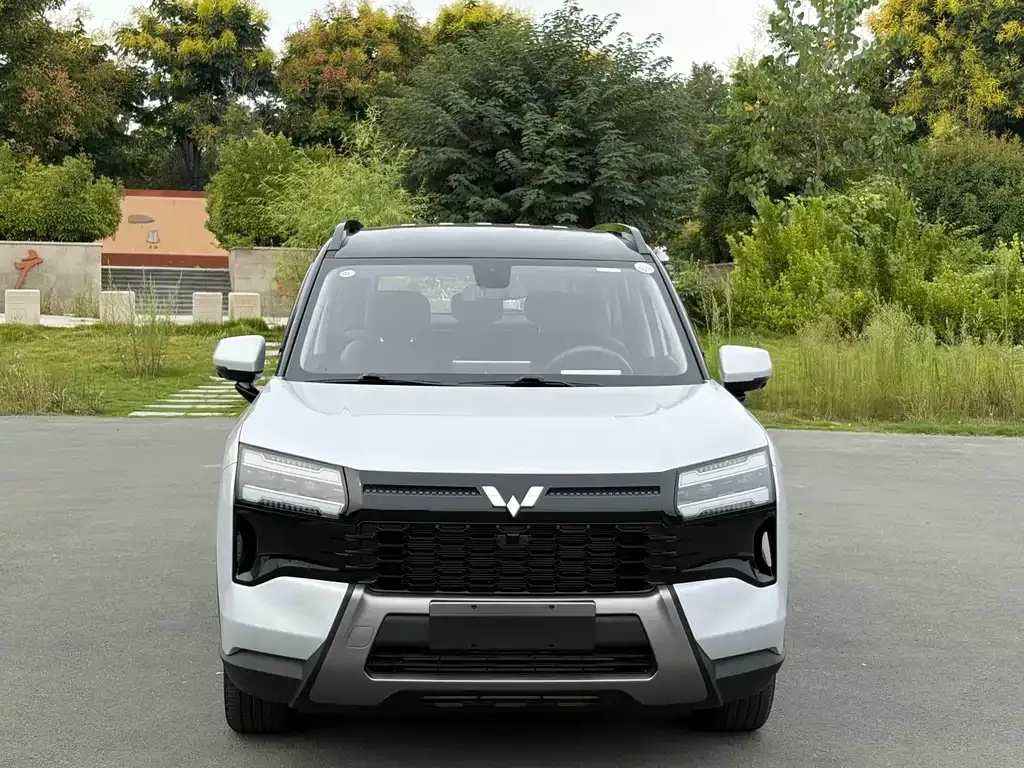 Wuling Xingguang 560 — фото 10