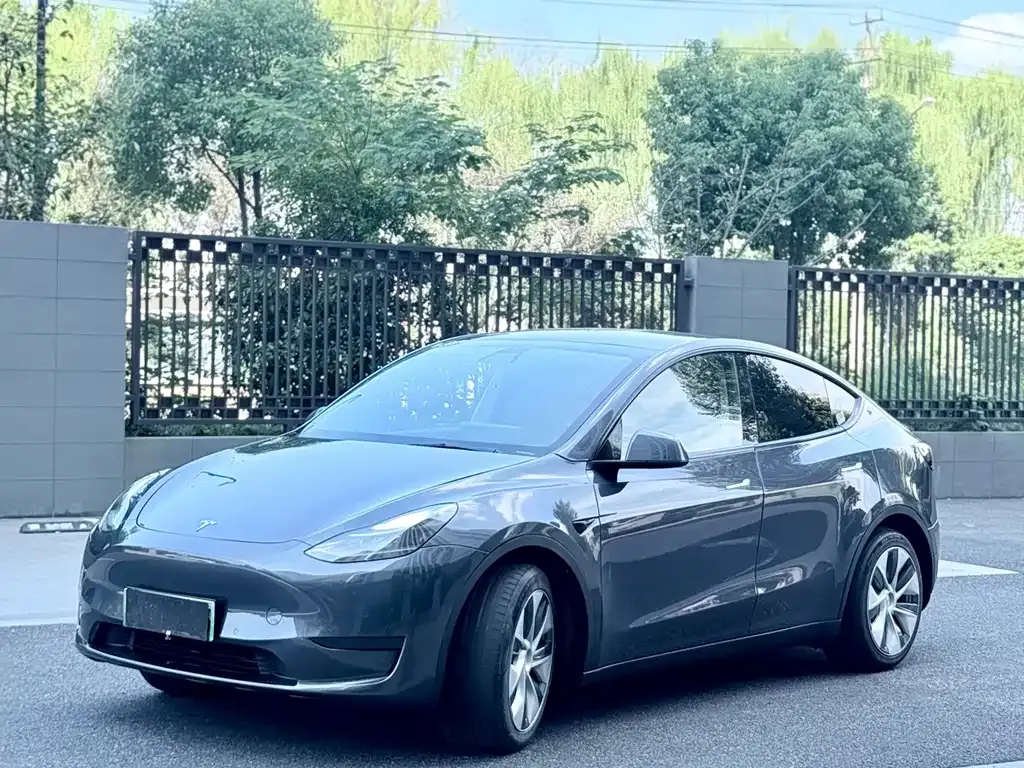 Tesla Model Y — фото 1