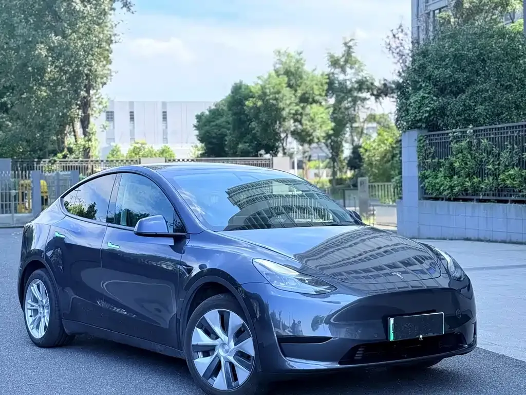 Tesla Model Y — фото 9