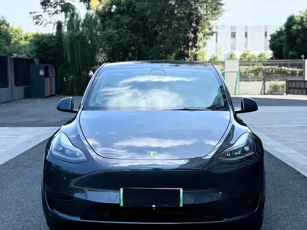 Tesla Model Y — фото 8