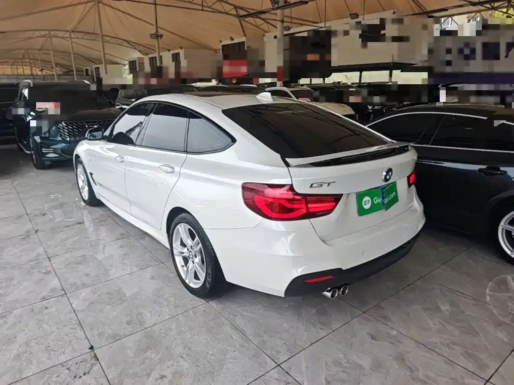 BMW 3 Series GT — фото 6