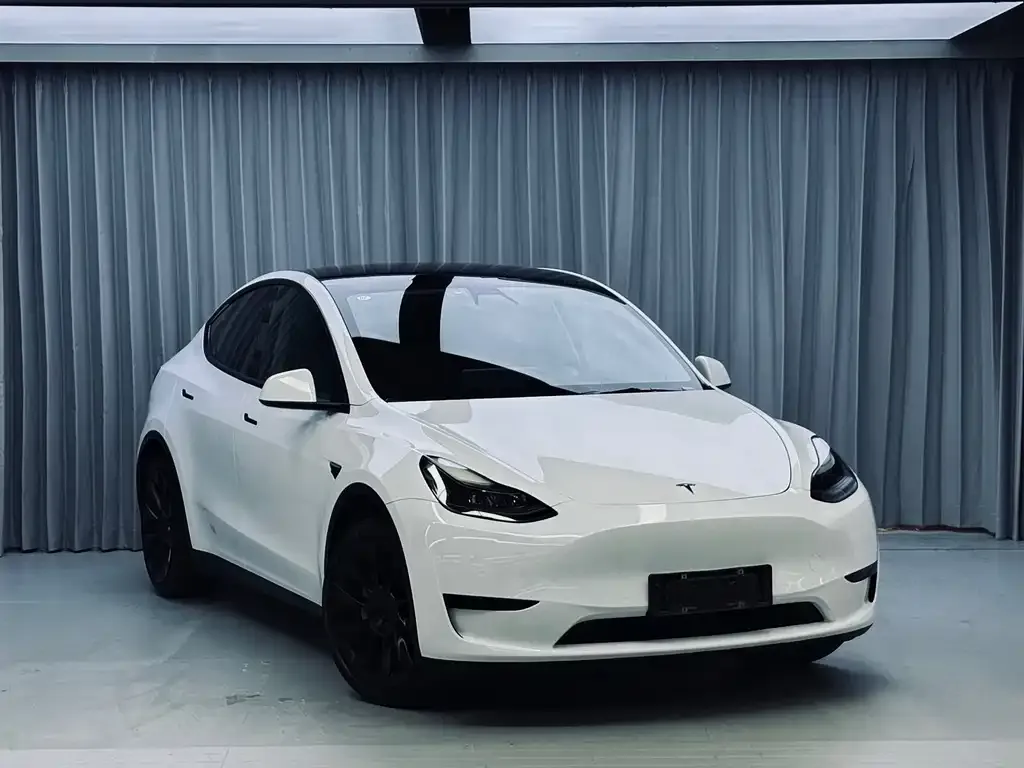 Tesla Model Y — фото 2