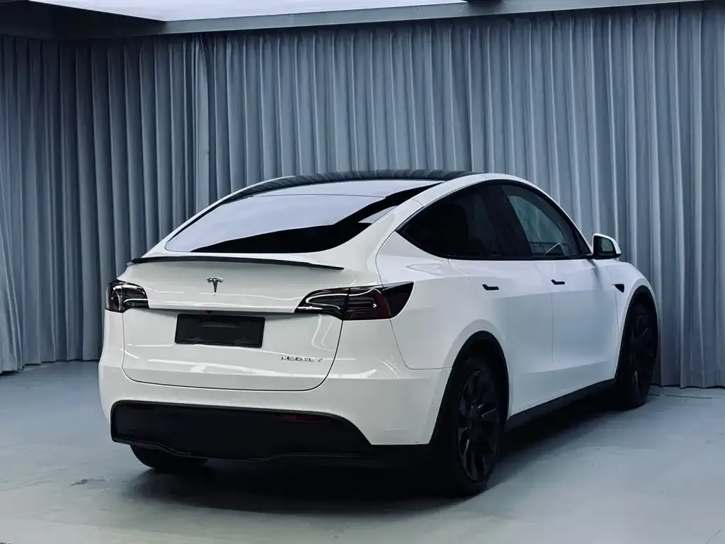 Tesla Model Y — фото 8