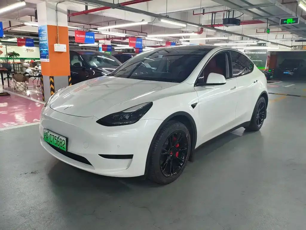 Tesla Model Y — фото 1