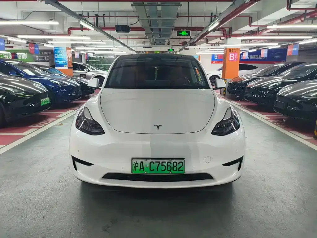 Tesla Model Y — фото 3