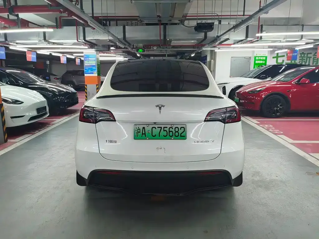 Tesla Model Y — фото 8