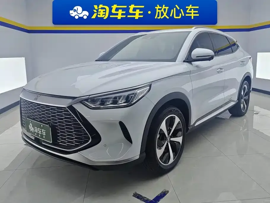 BYD PLUS New Energy — фото 1