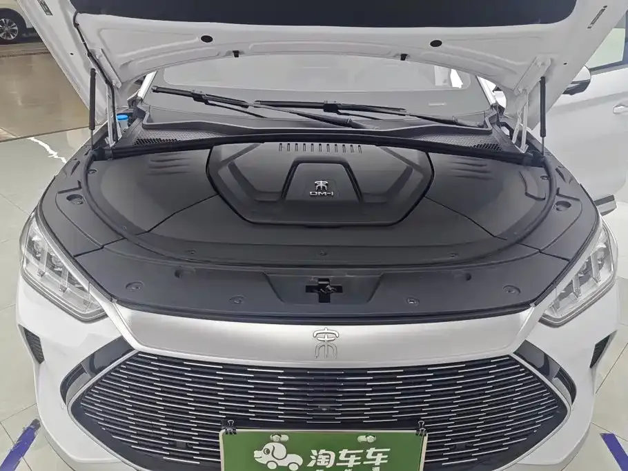 BYD PLUS New Energy — фото 9