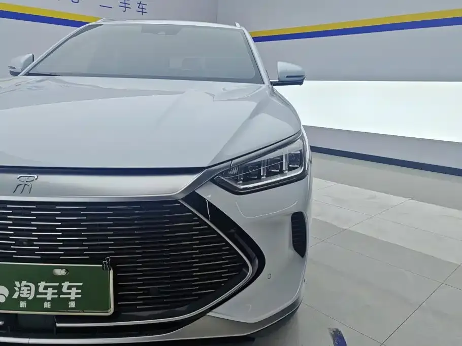 BYD PLUS New Energy — фото 2