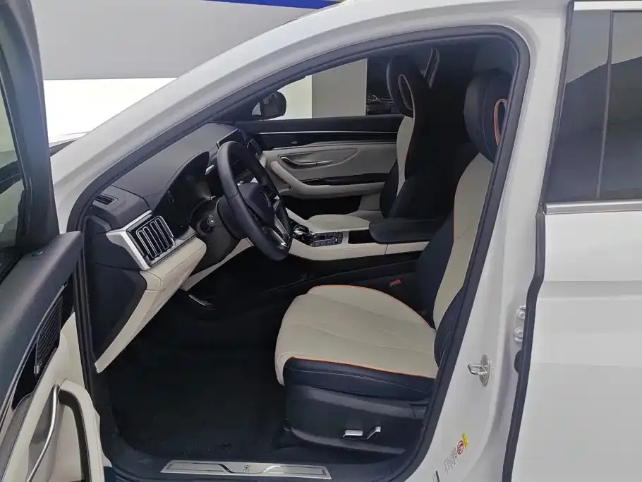 BYD PLUS New Energy — фото 10