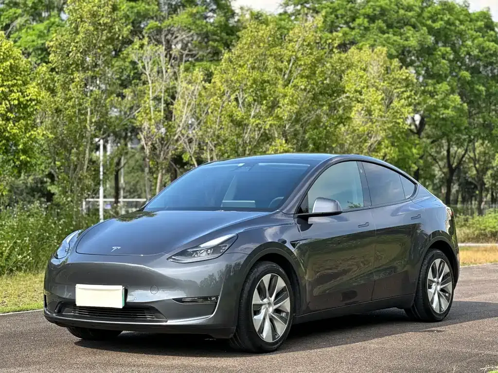 Tesla Model Y — фото 1