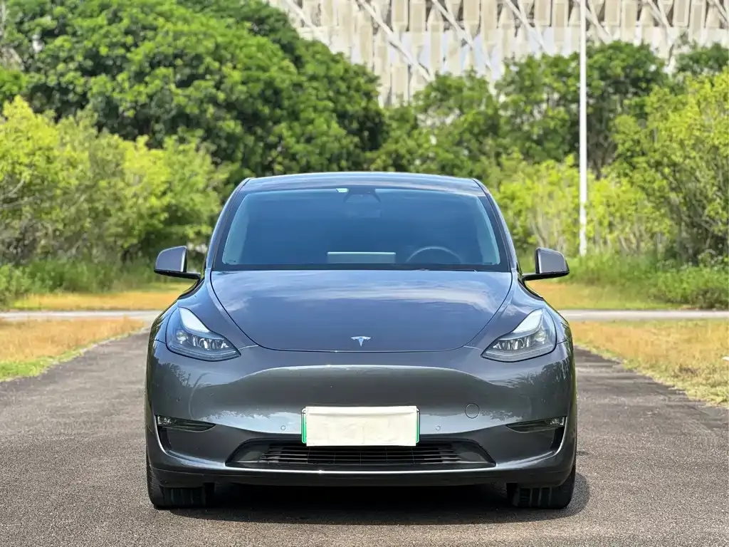 Tesla Model Y — фото 2