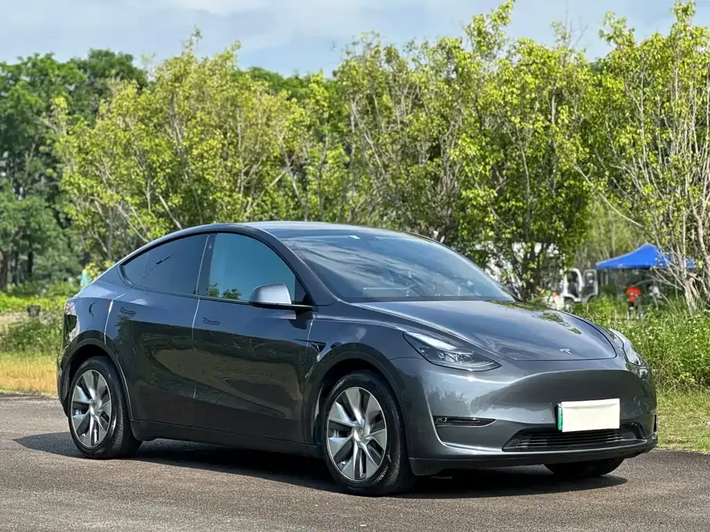 Tesla Model Y — фото 10