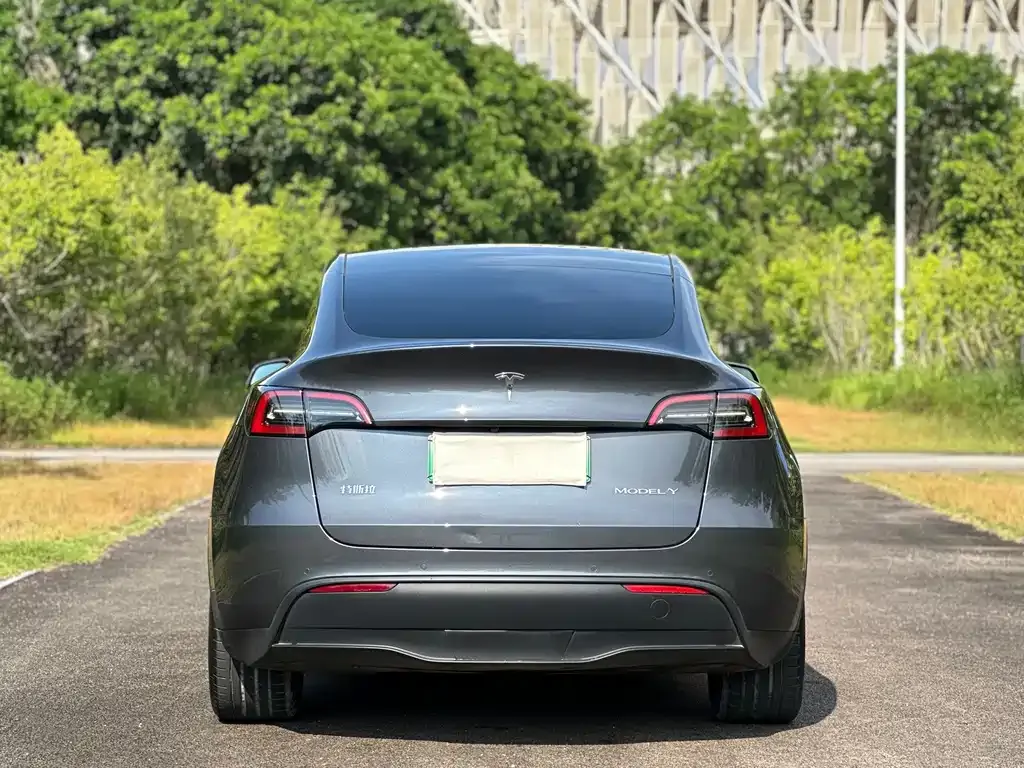 Tesla Model Y — фото 7