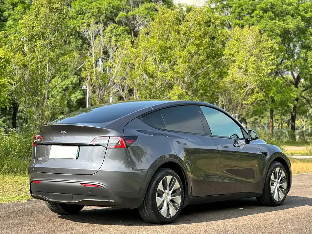 Tesla Model Y — фото 3