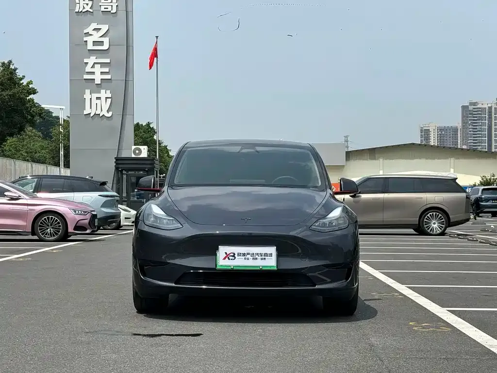 Tesla Model Y — фото 2