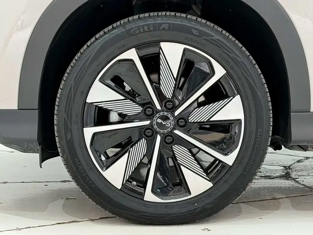 BYD PLUS New Energy — фото 8