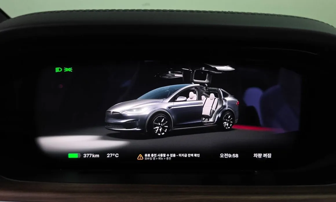 Tesla Model X — фото 3