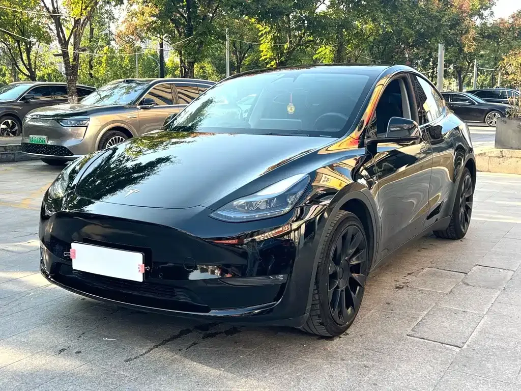 Tesla Model Y — фото 1