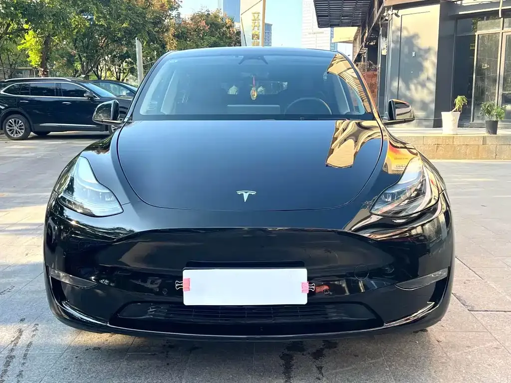 Tesla Model Y — фото 9