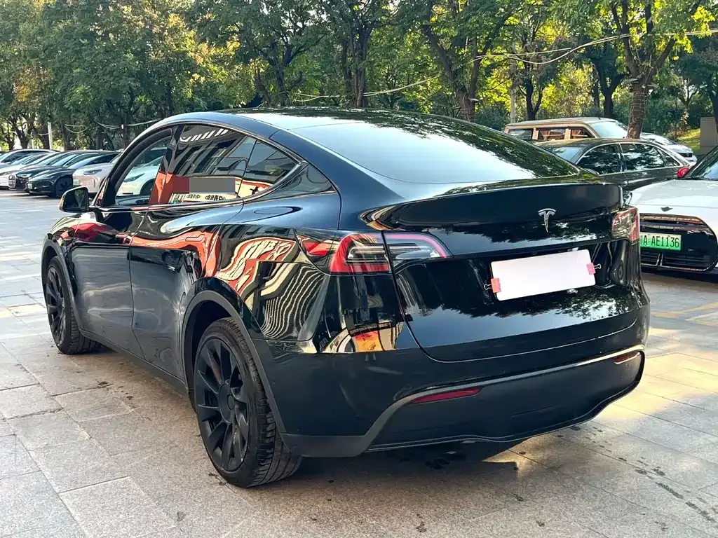 Tesla Model Y — фото 5