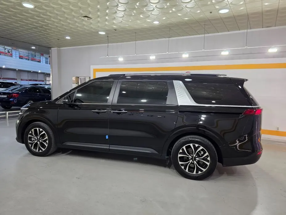 Kia Carnival — фото 10