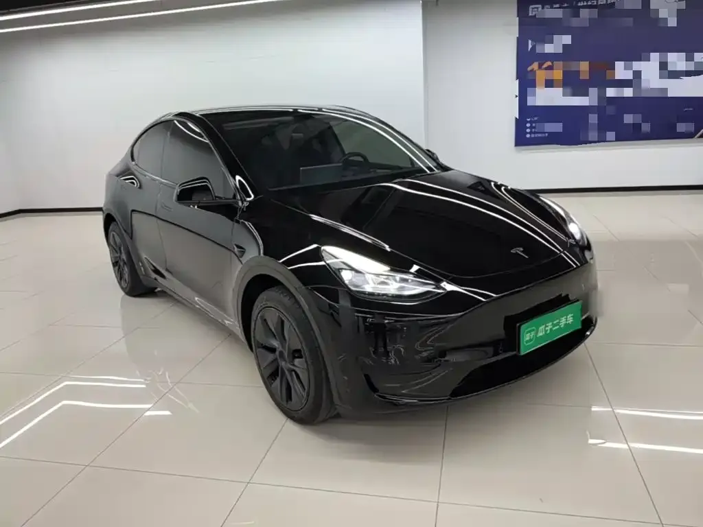 Tesla Model Y — фото 2