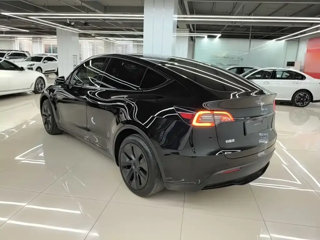 Tesla Model Y — фото 9
