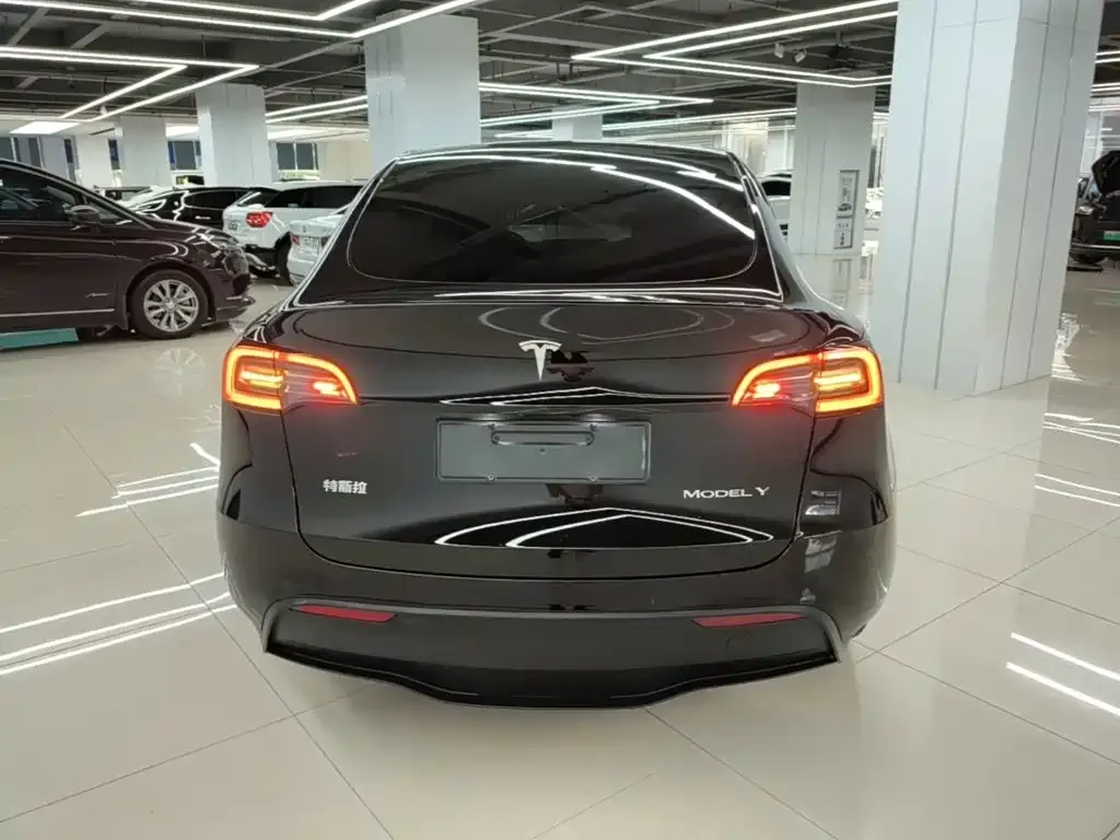 Tesla Model Y — фото 8