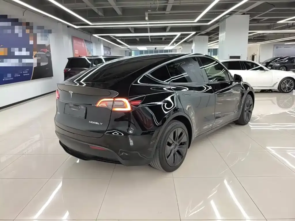 Tesla Model Y — фото 10